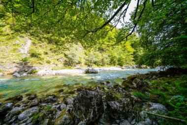 Kramsach ve Brandenberg arasındaki Tiefenbachklamm 'da doğa. Nehir manzarası ve Alpbachtal 'da kayalar.