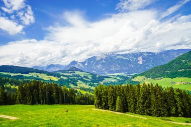 Alpbachtal 'daki Wiedersberger Borusu' nun manzarası. Doğa, dağlar ve Avusturya 'daki Alpbach yakınlarındaki Zillertal Alpler manzarası.