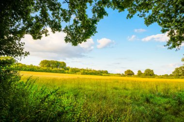 Dolberg yakınlarındaki tarlaların manzarası Ahlen. Tarım doğası.
