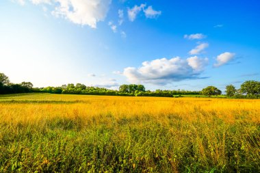 Dolberg yakınlarındaki tarlaların manzarası Ahlen. Tarım doğası.