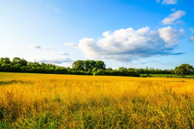 Dolberg yakınlarındaki tarlaların manzarası Ahlen. Tarım doğası.
