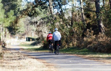 Bisiklet süren kişi bisiklet yolunda güneşli bir günde