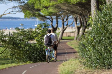Bisiklet süren kişi bisiklet yolunda güneşli bir günde