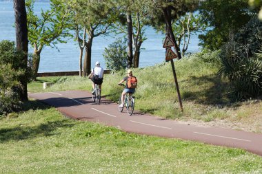 Bisiklet süren kişi bisiklet yolunda güneşli bir günde