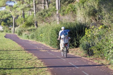 Bisiklet süren kişi bisiklet yolunda güneşli bir günde