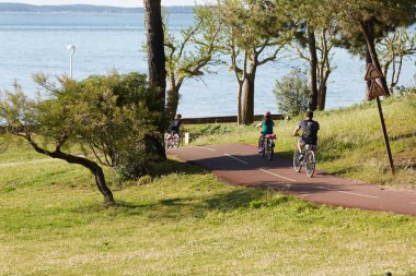Bisiklet süren kişi bisiklet yolunda güneşli bir günde
