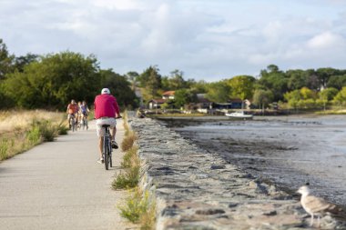 Bisiklet süren kişi bisiklet yolunda güneşli bir günde