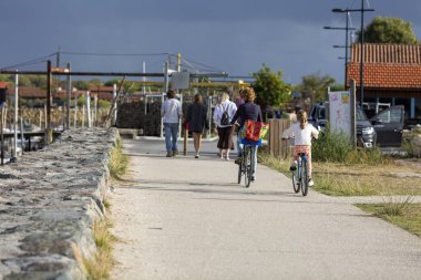 Bisiklet süren kişi bisiklet yolunda güneşli bir günde