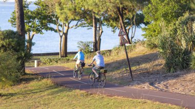 Bisiklet süren kişi bisiklet yolunda güneşli bir günde
