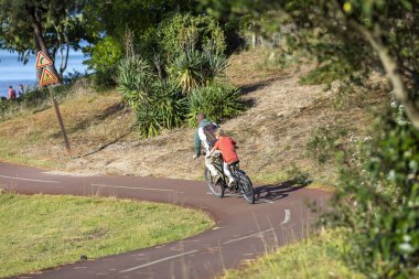 Bisiklet süren kişi bisiklet yolunda güneşli bir günde