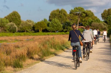 Bisiklet süren kişi bisiklet yolunda güneşli bir günde