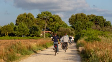 Bisiklet süren kişi bisiklet yolunda güneşli bir günde