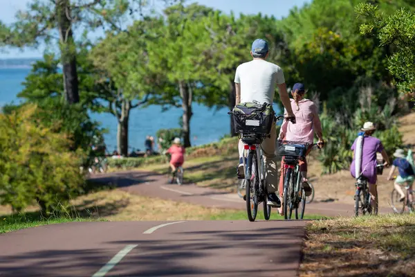 Bisiklet süren kişi bisiklet yolunda güneşli bir günde