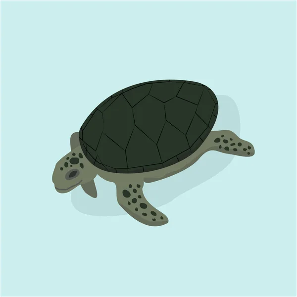 Grön Havssköldpadda Blå Bakgrund Isometrisk — Stock vektor