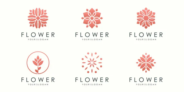 Logotipo Flor Creativa Conjunto Iconos Diseño Plantilla Vector — Archivo Imágenes Vectoriales