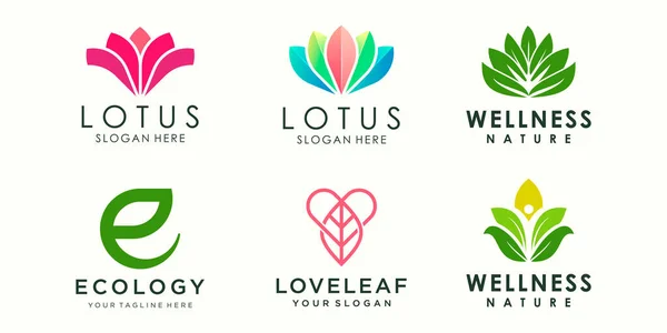 Abstrakte Lotusblume Ornament Logo Und Symbol Set Designvorlagenvektor — Stockvektor