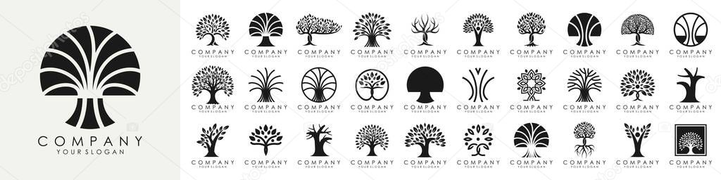Set of creative tree logo design. Green Garden Vector Logo Template. vector illustration