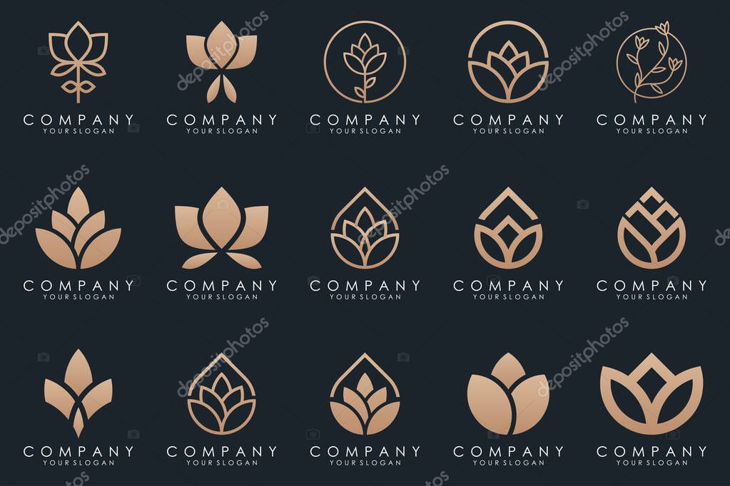 Abstract elegant flower rose logo icon set.