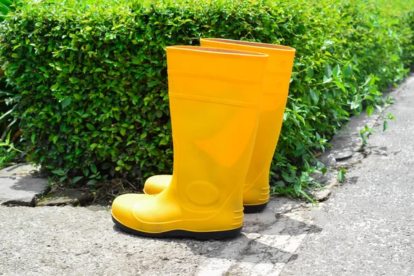 Yellow rubber boots in the garden. Yellow gumboot