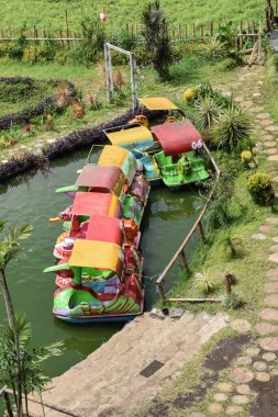 The duck boat at the public park. Duck paddle boats floating over the lake, vacation time