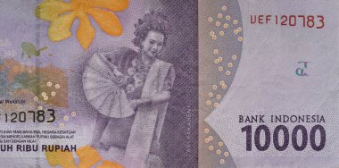 Taman Nasional Wakatobi Portrait from Indonesian 10000 Rupiah 2016 Banknotes. IDR 10.000, Indonesian money
