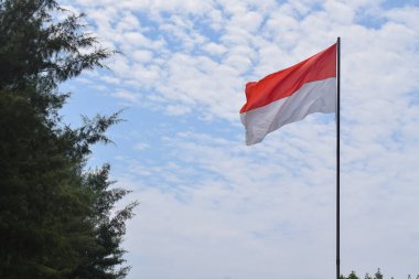 Indonesian Flag, Red and White, waving in the wind with background fir trees and blue sky