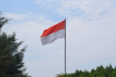 Indonesian Flag, Red and White, waving in the wind with background fir trees and blue sky