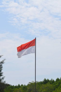 Indonesian Flag, Red and White, waving in the wind with background fir trees and blue sky