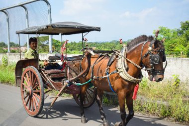 Pasuruan - November 21 2022 : A horse-drawn carriage (Delman) is running looking for passengers on the road. East Java, Indonesia