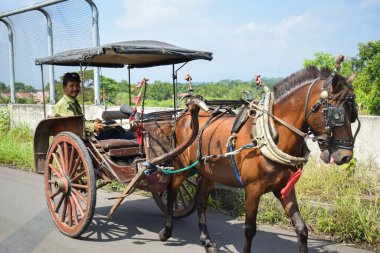 Pasuruan - November 21 2022 : A horse-drawn carriage (Delman) is running looking for passengers on the road. East Java, Indonesia