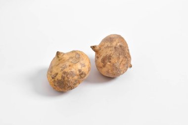 Taze çiğ Jicama veya bengkuang (pachyrhizus erosus) meyveli sebze gıdaları organik tarım sağlıklıdır. Beyaz arkaplanda izole