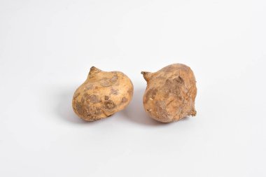 Taze çiğ Jicama veya bengkuang (pachyrhizus erosus) meyveli sebze gıdaları organik tarım sağlıklıdır. Beyaz arkaplanda izole