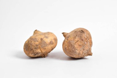 Taze çiğ Jicama veya bengkuang (pachyrhizus erosus) meyveli sebze gıdaları organik tarım sağlıklıdır. Beyaz arkaplanda izole