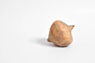 Taze çiğ Jicama veya bengkuang (pachyrhizus erosus) meyveli sebze gıdaları organik tarım sağlıklıdır. Beyaz arkaplanda izole