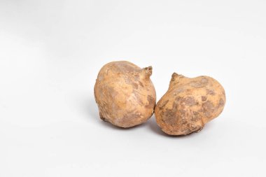 Taze çiğ Jicama veya bengkuang (pachyrhizus erosus) meyveli sebze gıdaları organik tarım sağlıklıdır. Beyaz arkaplanda izole