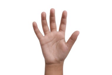 Çocuğun eli, beyaz arka planda izole edilmiş beş parmağı gösteriyor. Eller beş sayım gösterir