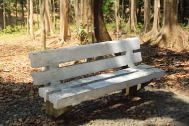 Ulusal parktaki beyaz beton bank. Sonbaharda ağaçların altında.