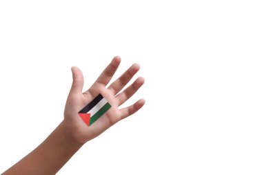 Beyaz arka planda izole edilmiş bir çocuğun elindeki Filistin bayrağı. Filistin 'e destek kavramı