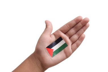 Beyaz arka planda izole edilmiş bir çocuğun elindeki Filistin bayrağı. Filistin 'e destek kavramı