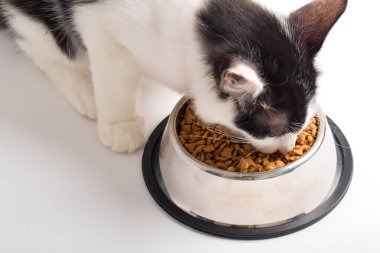 Şirin kedi yavrusu paslanmaz çelik kaseden kuru yiyecek yiyor. Yavru kedi evde ya da evde çocuk maması yiyor..