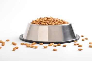 Beyaz arka planda izole edilmiş kediler için kuru yiyecek. Bir kase kuru hayvan maması.