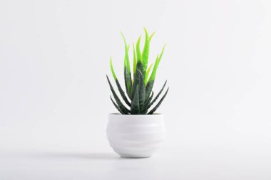 Beyaz arkaplanda izole edilmiş beyaz çömlekteki yapay bitki.