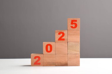 2025 yılına başlıyoruz. Başarılı fikirlere ve hedeflere ilham vermek. Yeni yılın başlangıcı ve başlangıcı 2025