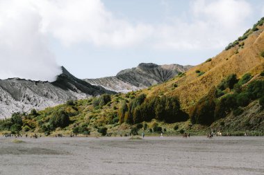 Mount Bromo yanardağ (Gunung Bromo) Bromo Tengger Semeru Milli Parkı'nda, Doğu Java, Endonezya.