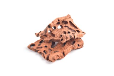 Karınca Yuvası (Myrmecodia pendanları), gözenekli, odunsu bir yapısı olan, beyaz arka planda izole edilmiş geleneksel bir tıbbi bitki..