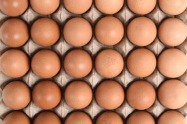 Karton kutudaki tavuk yumurtalarını kapat. kahverengi yumurtalı yumurta kutusunun arka planı