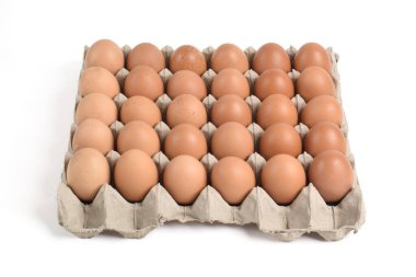 beyaz arka plan üzerinde karton kutu içinde tavuk yumurtası