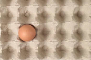 Karton tepside tavuk yumurtası. Yumurta kutusu, kutu, tepsi ya da kap