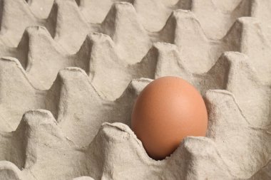 Karton tepside tavuk yumurtası. Yumurta kutusu, kutu, tepsi ya da kap