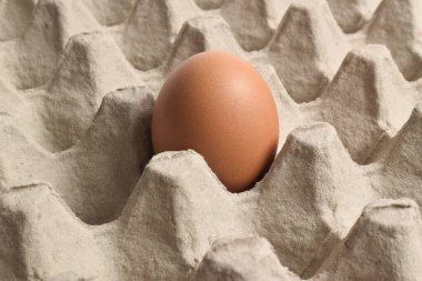 Karton tepside tavuk yumurtası. Yumurta kutusu, kutu, tepsi ya da kap